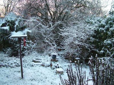 Garden snow a