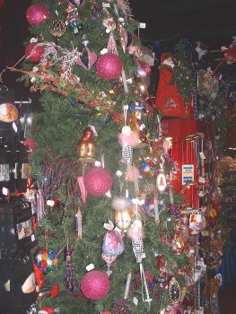 Camp Tree