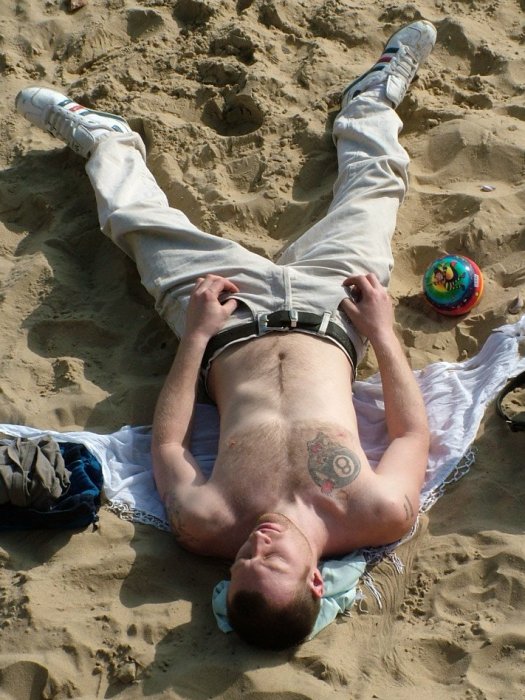 {short description of image}