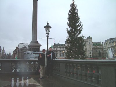 London tree