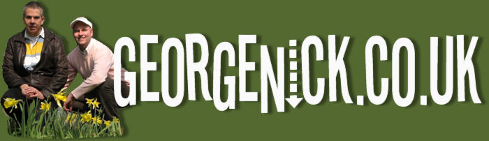 Banner 5