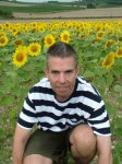 Sunflowers NTN.jpg