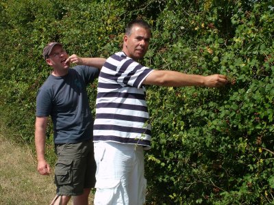 5 Niort Blackberries.jpg