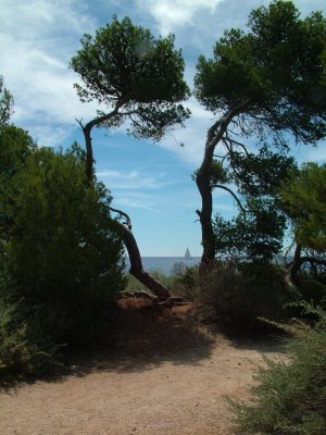 H Honorat sailboat.jpg