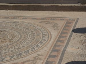 Dolphin mosaic