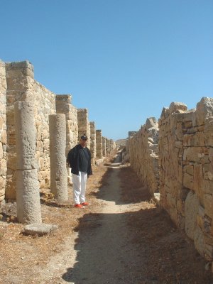 N Columns