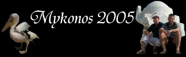 Banner 9