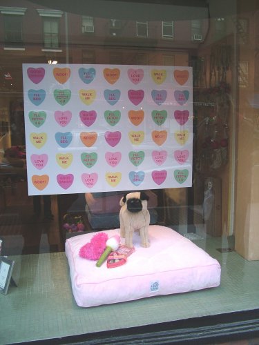 Village Pug
