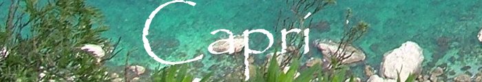 Banner Capri.jpg
