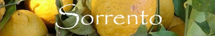Banner Sorrento.jpg