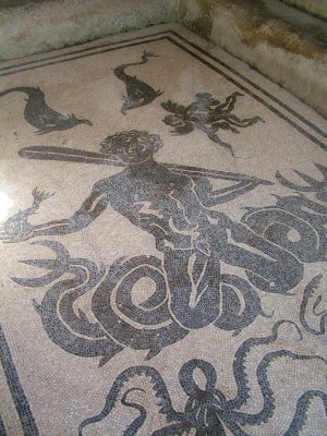 g8 Herculaneum floor.jpg