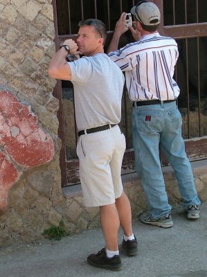 h2 Herculaneum cutie.jpg