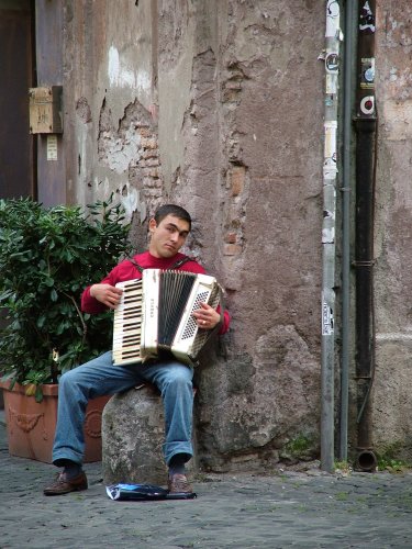 Cute accordion.jpg