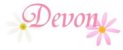 Banner Devon2.jpg