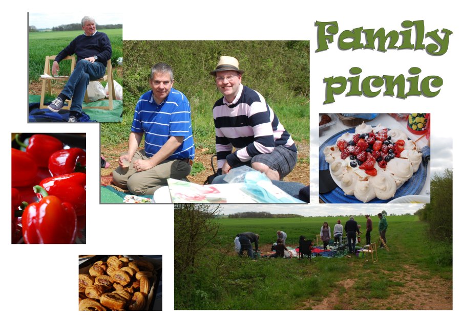 Collage May picnic 