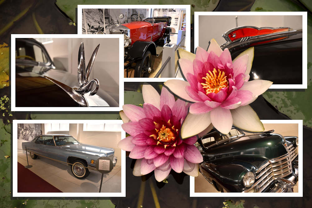 Collage 07 bb.jpg