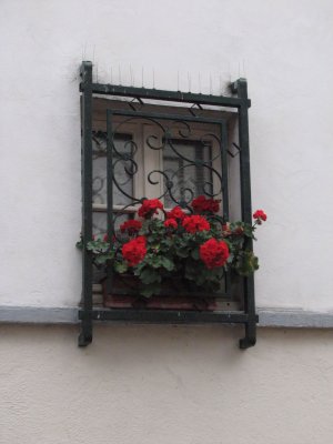 zzc Paris y