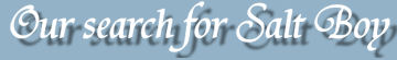 Banner Salt boy